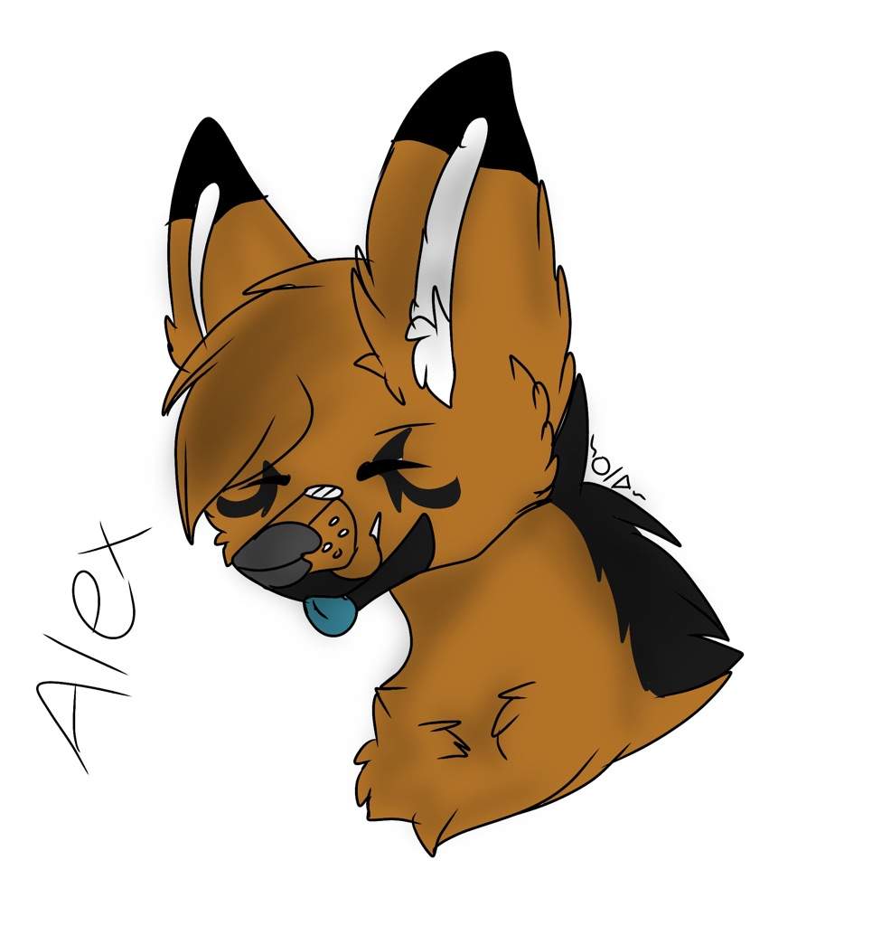 965x1024 Alex The Maned Wolf Furry Amino