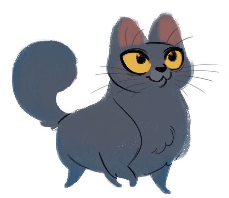 800x689 Chartreux Sketch Cats In Art History In Cat Drawing