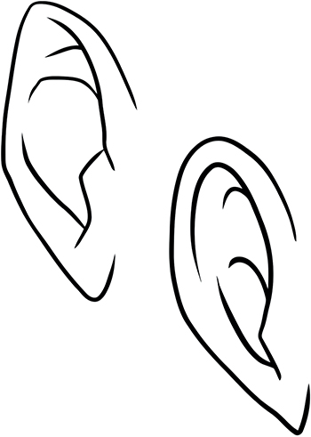 350x491 Ear Shapes