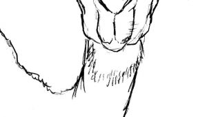 300x170 Drawing Anime Proportions Best Anime Drawing Images Manga