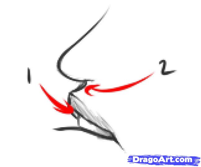 648x537 Step How To Draw Mouths