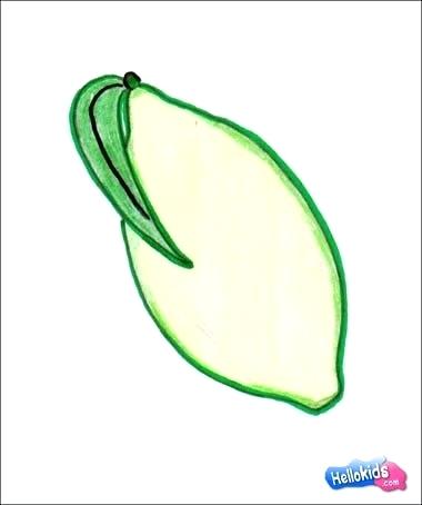 380x454 Fruit Drawing For Kids Mango On Bowl Coloring