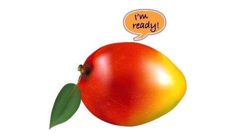 500x280 Mango Drawing Beauty With Mango Drawing