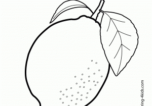 300x210 Mango Drawing For Kids At Getdrawings Free For Personal Use