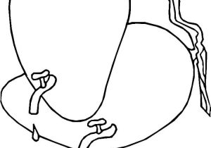 300x210 Mango Drawing For Kids At Getdrawings Free For Personal Use