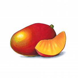 275x275 Mango Drawing Photos And Images