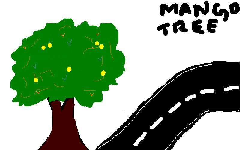800x500 Mango Tree Drawing