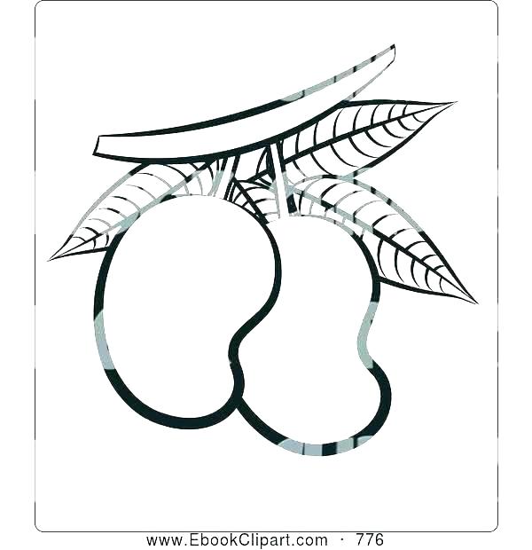 600x620 Mango Drawing For Kids