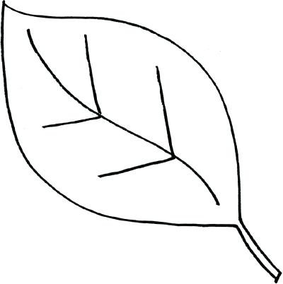 400x402 A Drawing Of A Leaf