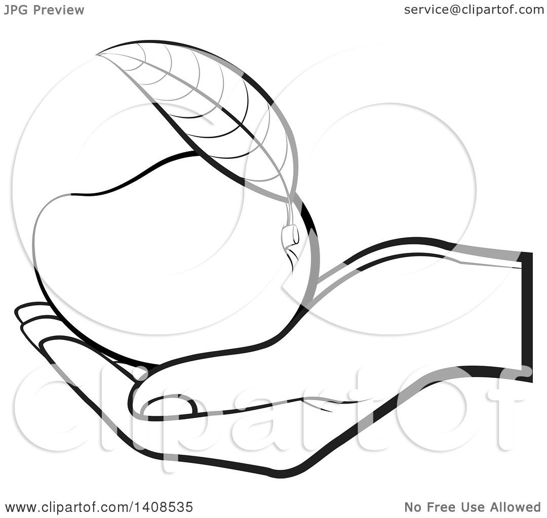 1080x1024 Clipart Of A Black And White Lineart Hand Holding A Mango