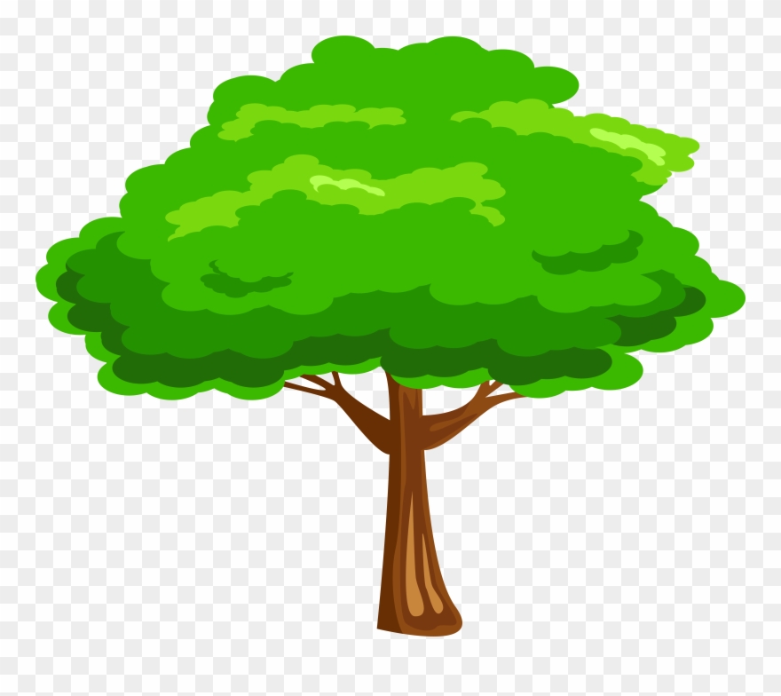 880x784 Leaves Clipart Mango Tree