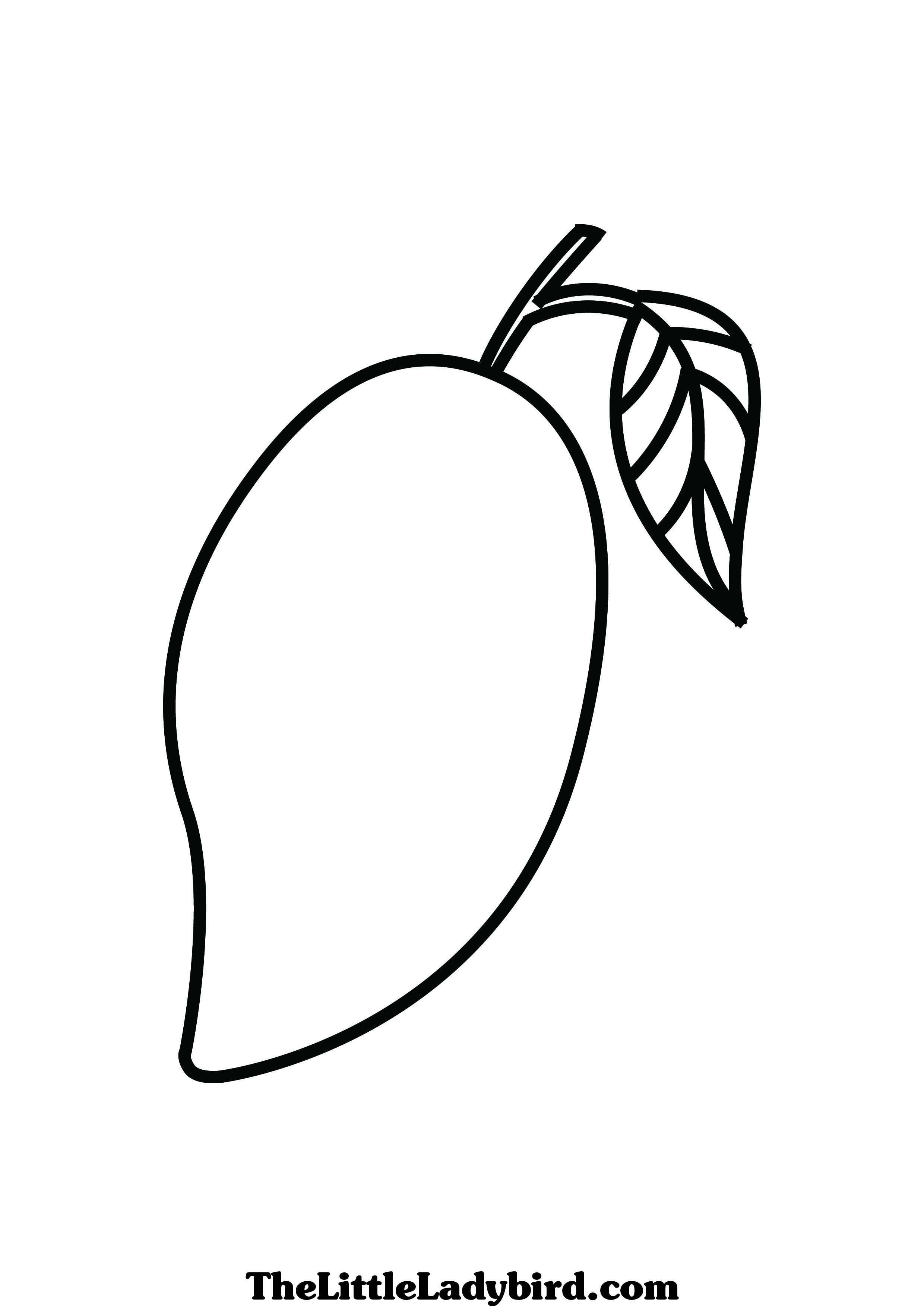 2480x3508 mangoes drawing free download