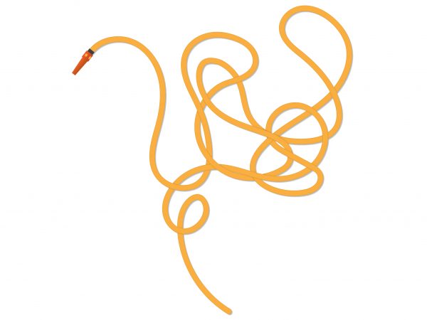 600x450 mangroves allies or invaders new zealand geographic