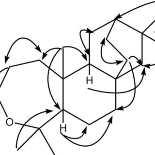 320x320 Pdf A New Atisane Type Diterpene From The Bark Of The Mangrove