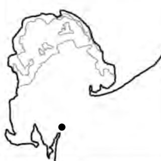 320x320 Pdf Comparison Of Foraging Tactics And Striking Efficiency