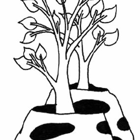 284x284 planting mangrove seedlings in concrete balls sounds interesting