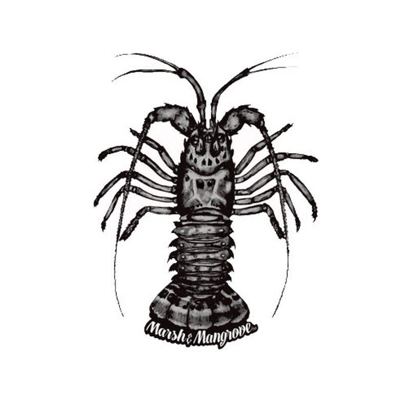 794x794 Florida Lobster Decal Etsy