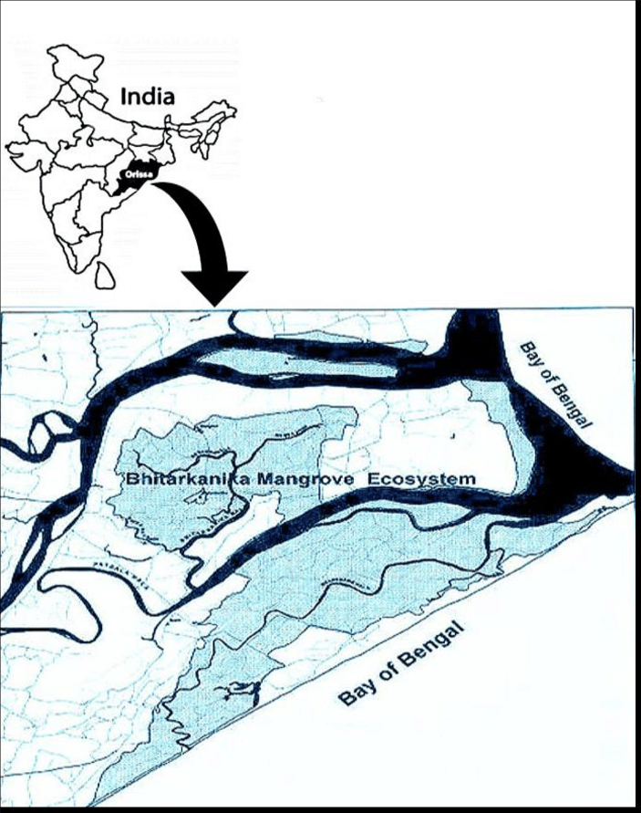 703x891 Map Showing The Study Site