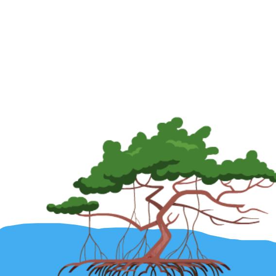 568x568 Show Pictures Plum Landing Pbs Kids