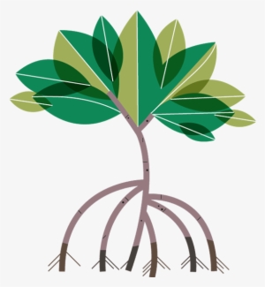 300x325 Tree Clipart Png Download Transparent Tree Clipart Png Images