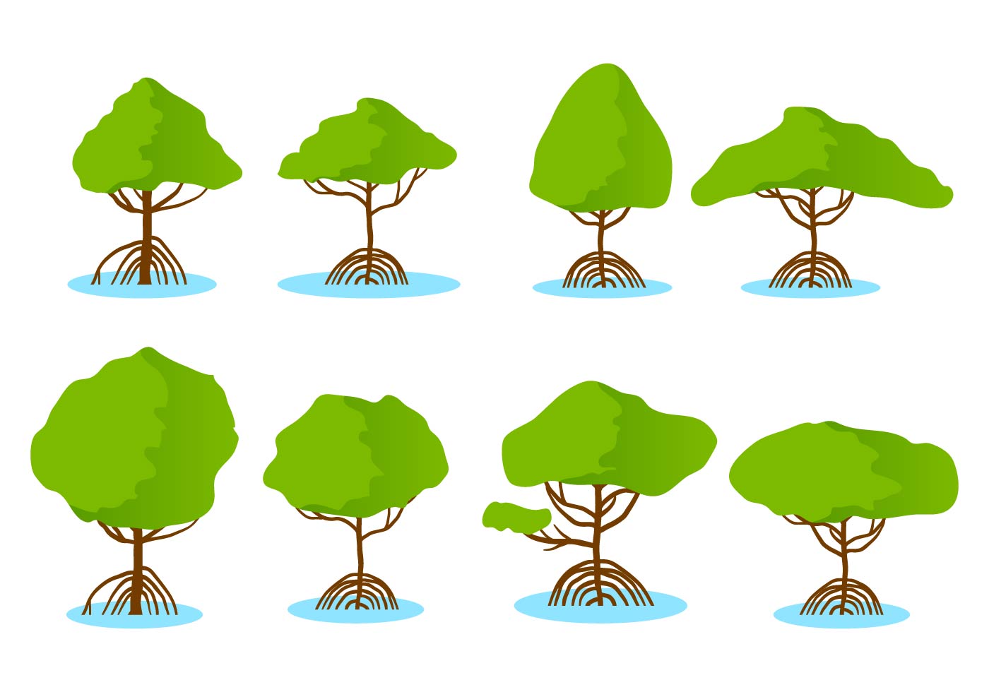 1400x980 Free Mangrove Vector