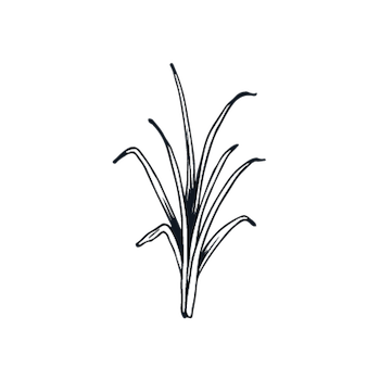 350x350 Mankind Facial Tonik Medi Spa