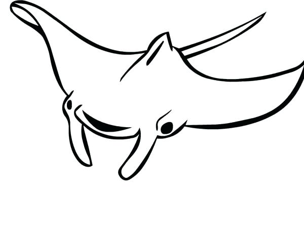 600x450 manta ray coloring