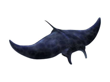 460x345 Second Life Marketplace