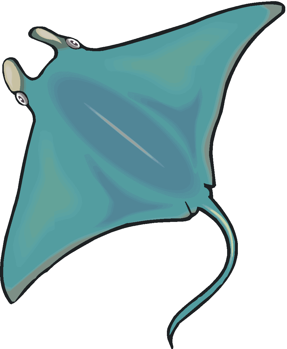 987x1200 manta ray clipart free
