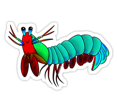 375x360 Mantis Shrimp Cartoon Clip Art