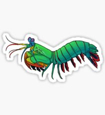 210x230 Mantis Shrimp Stickers Redbubble