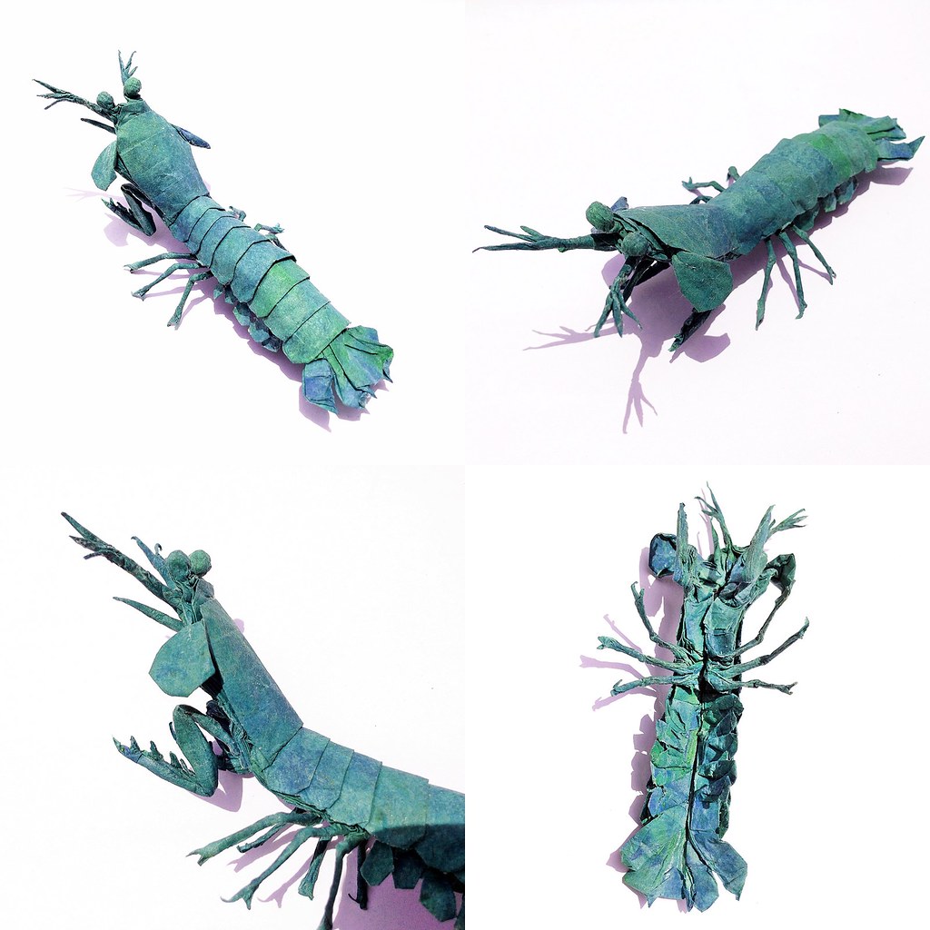 1024x1024 Peacock Mantis Shrimp Design