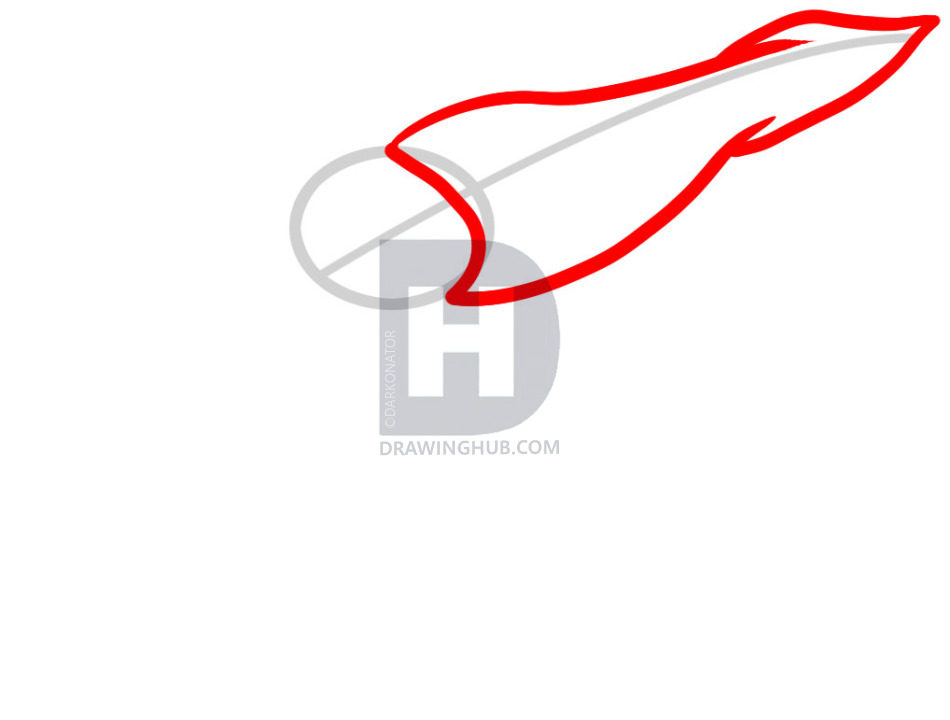 950x720 how to draw a giant squid, giant squid, step