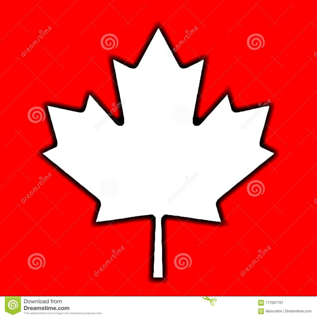 1022x1024 Happy Canadian Maple Leaf Outline Drawing On Red Stock Vector