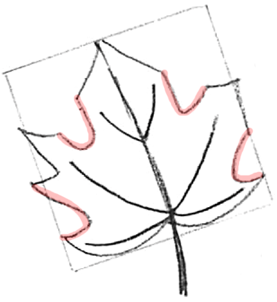 400x437 How To Draw Maple Leaves