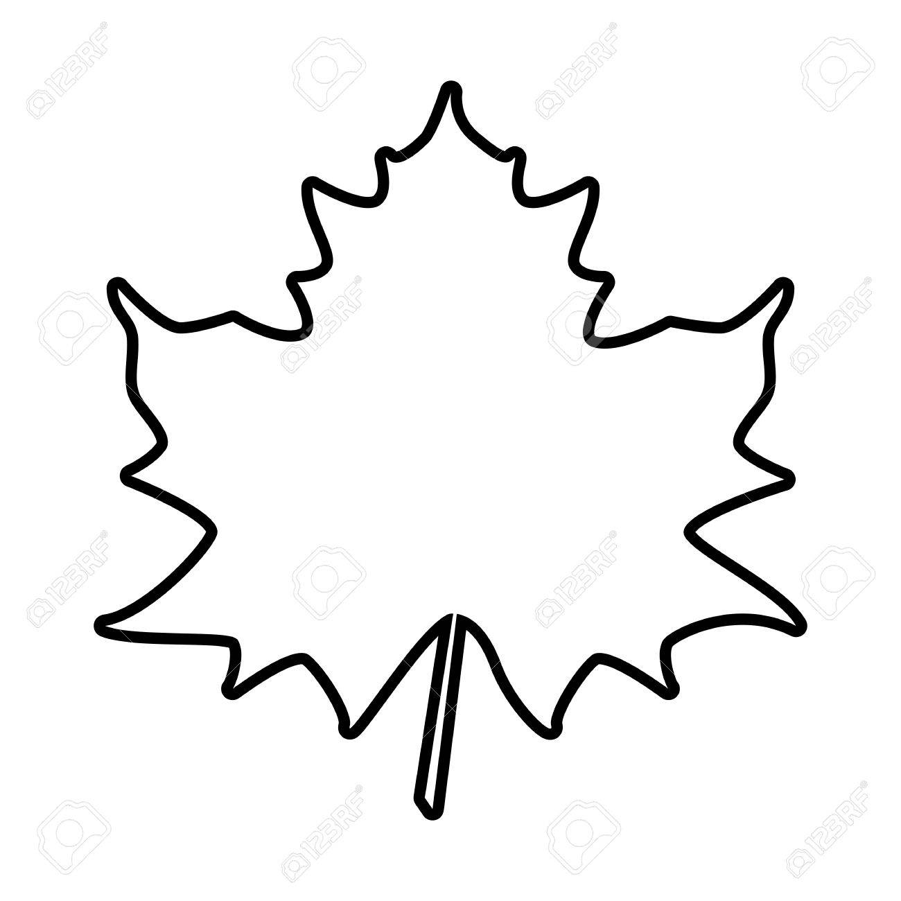 1300x1300 Huge Collection Of 'maple Leaf Line Drawing' Download More Than