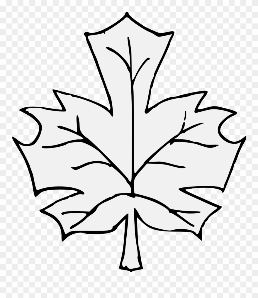 880x1016 Maple Leaf