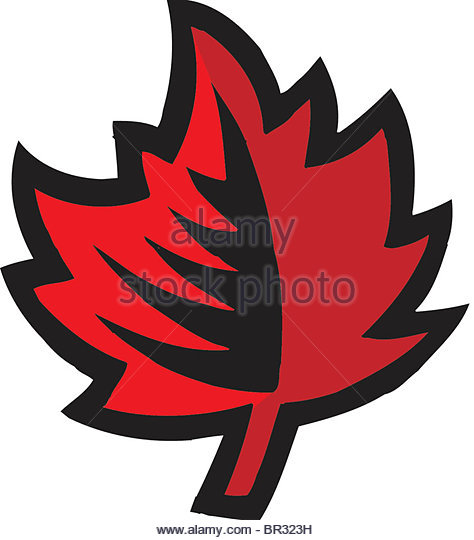 474x540 Maple Leaf Clipart Leaf Drawing