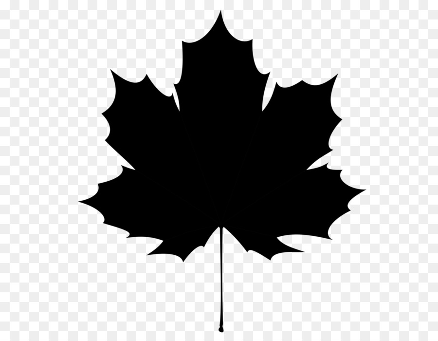 900x700 Maple Leaf Canucks Wildlife Services Illustration Vector Graphics