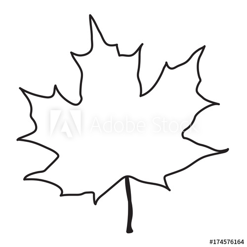 500x500 This Is A Vector Line Drawing Of A Maple Leaf