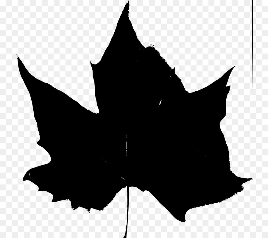 900x800 Graphics, Drawing, Leaf, Transparent Png Image Clipart Free Download