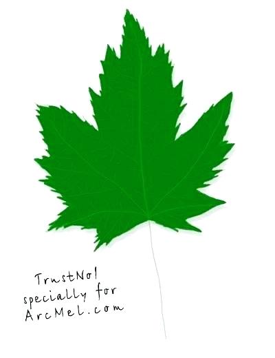 400x520 How To Draw A Leaf Step
