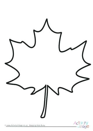 320x452 Leaf Outline Maple Template Free Printable Schedule