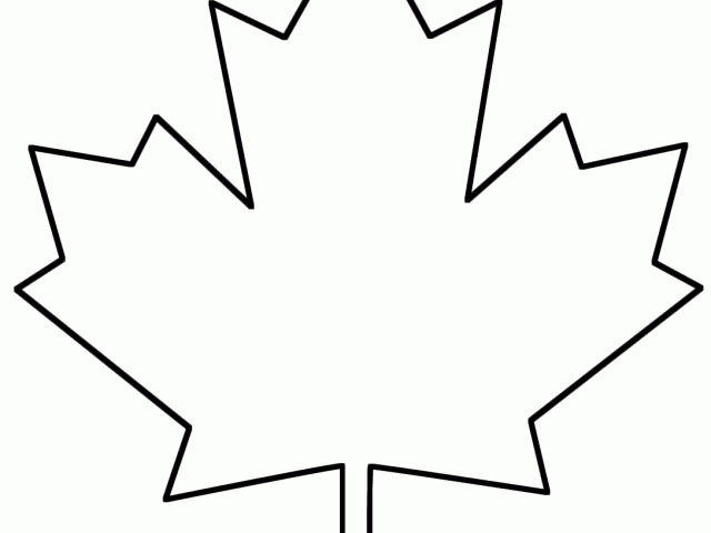 640x480 Maple Leaf Clipart Leaf Drawing