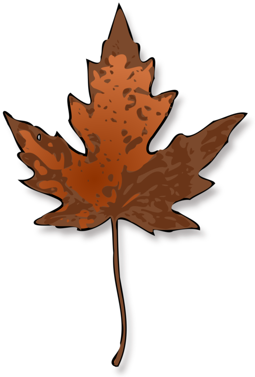 508x750 Maple Leaf Autumn Leaf Color Red Maple Drawing Cc0