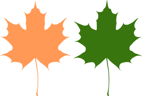500x338 Orange And Green Maple Leaves Vector Drawing