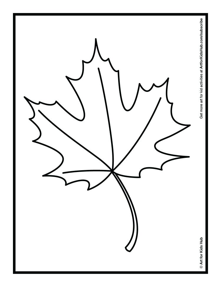 750x971 Leaf Drawing For Kids