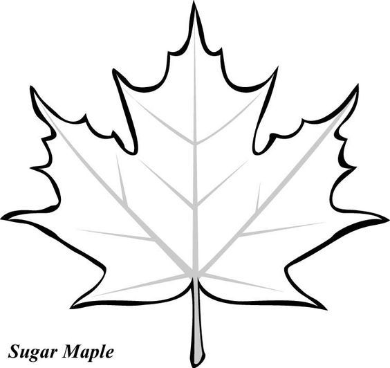 564x532 Maple Leaves, Leaf Template And Clip Art Stencil Leaf Template
