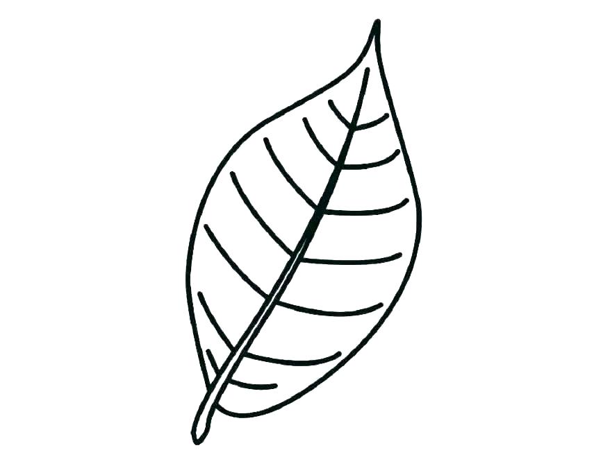 878x659 Holly Leaf Template