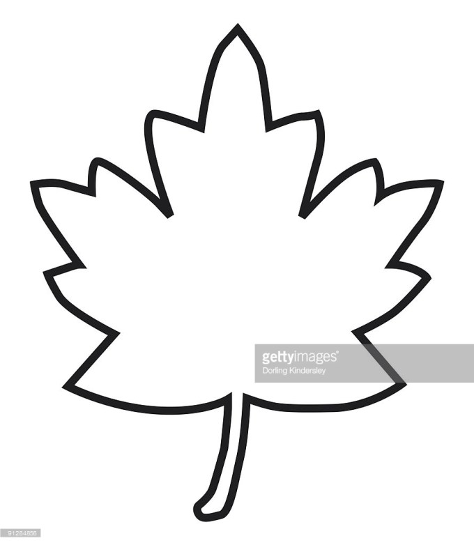 680x782 Drawn Maple Leaf Out Line